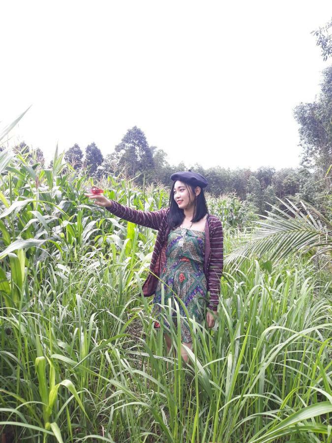 Cat Tien Farmer Lodge Quan Tom Esterno foto